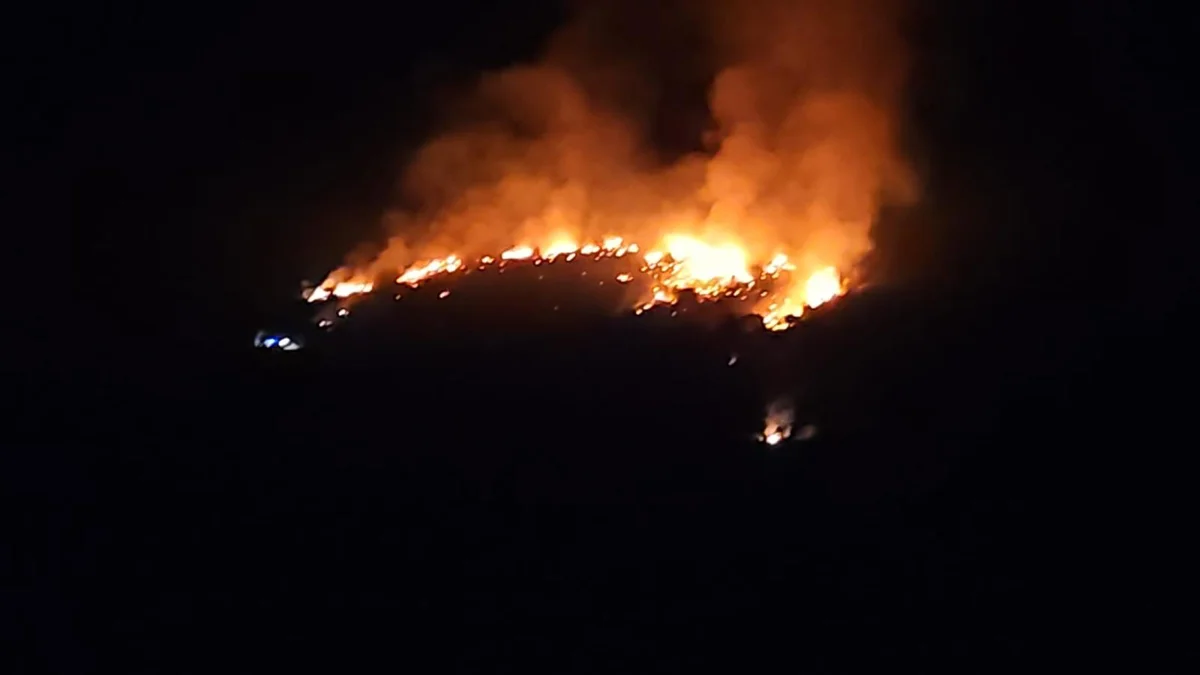 Požar u Drinovcima ugašen brzom intervencijom mještana i vatrogasaca 1