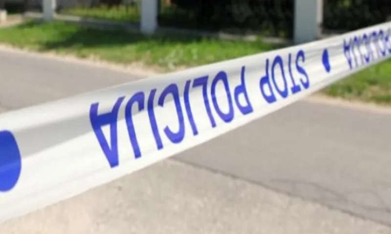 Nesreća u Vrućicama, kolona kilometarska