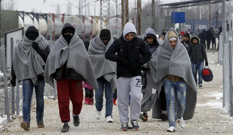 AfD: ''Migracija je majka svih problema''