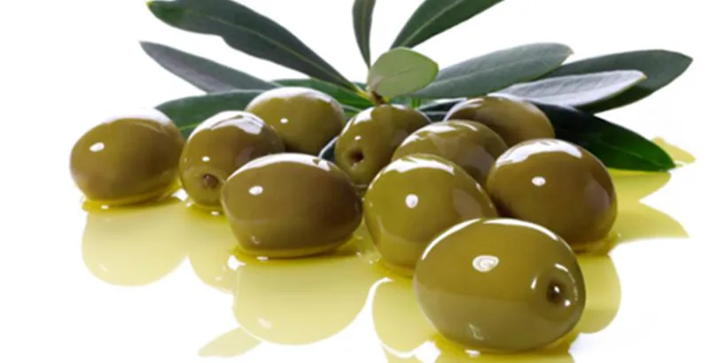 Hercegovina maslinarska zvijezda na Mediteranu