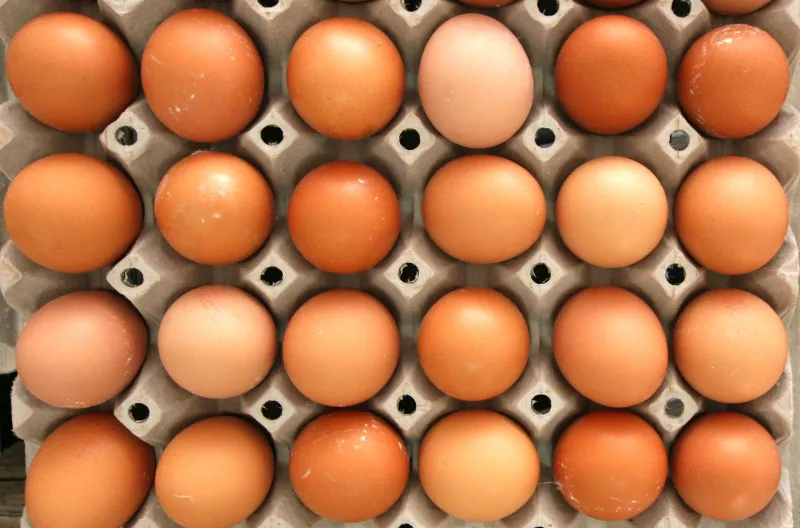 Smijete li jesti jaja kojima je istekao rok trajanja? Evo što kaže stručnjak