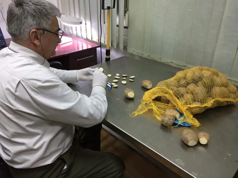 S ovim sastojkom možete poboljšati ukus kuhanog krompira