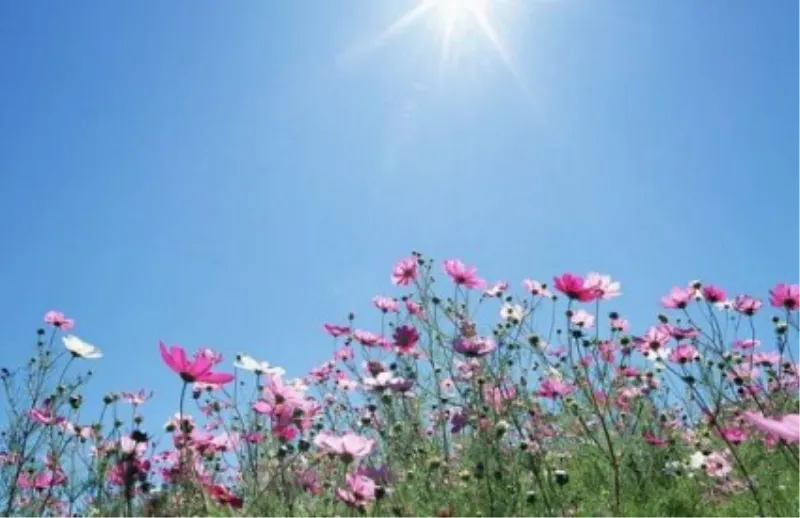 Danas dnevna temperatura do 35