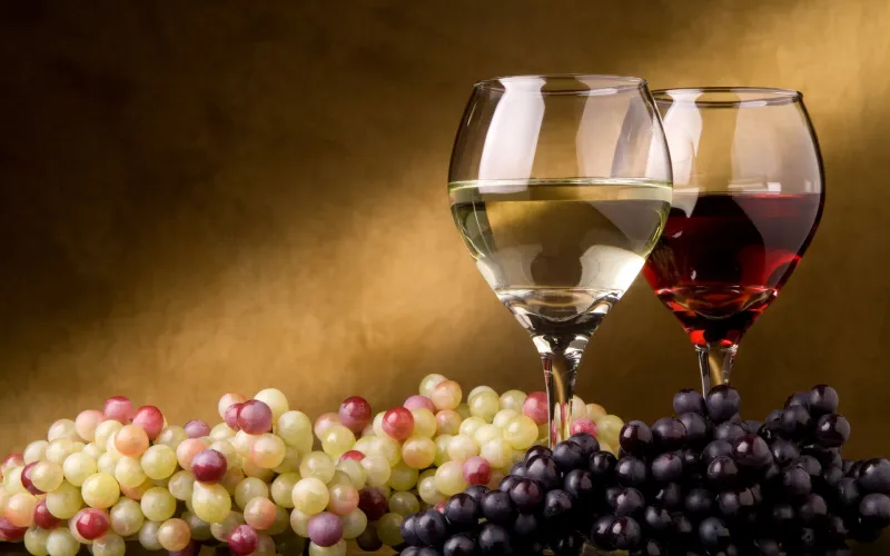 Vrijednost uvoznog vina u BiH četiri do pet puta veća od vrijednosti izvezenog