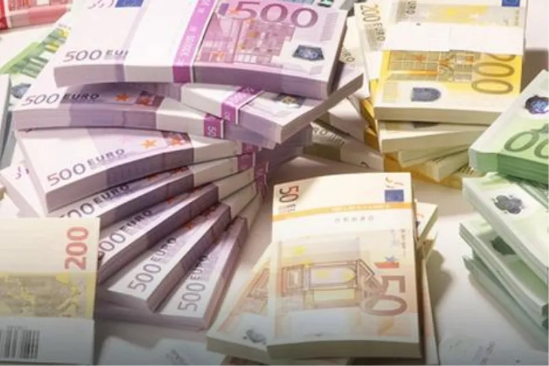 Srbin u kamionu slovenskih registracija probao unijeti više od 30.000 eura gotovine