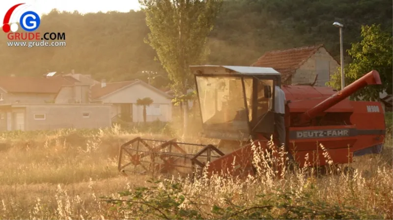 'Zasijali smo, posadili... bez obzira na skupoću, pa što Bog dadne'