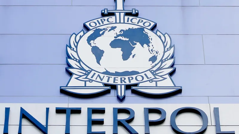 Interpolov alarm spriječio samoubijstvo djeteta u BiH