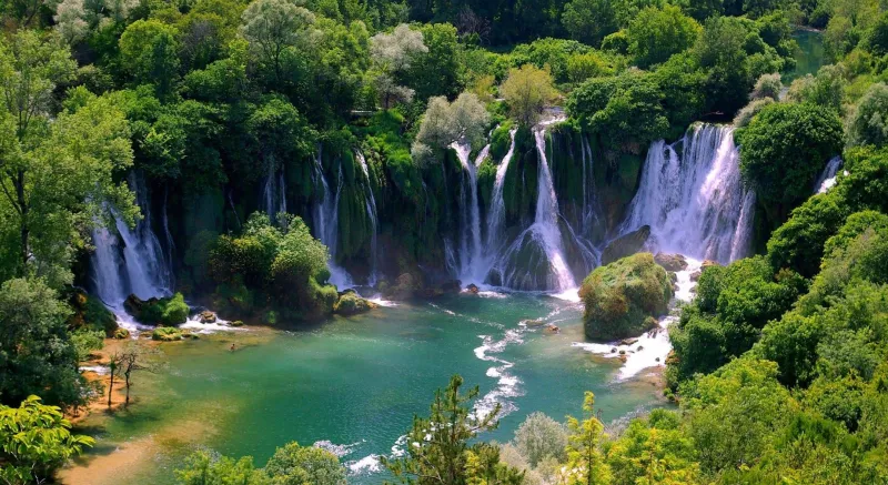 LJUBUŠKI: Kravica obara rekorde