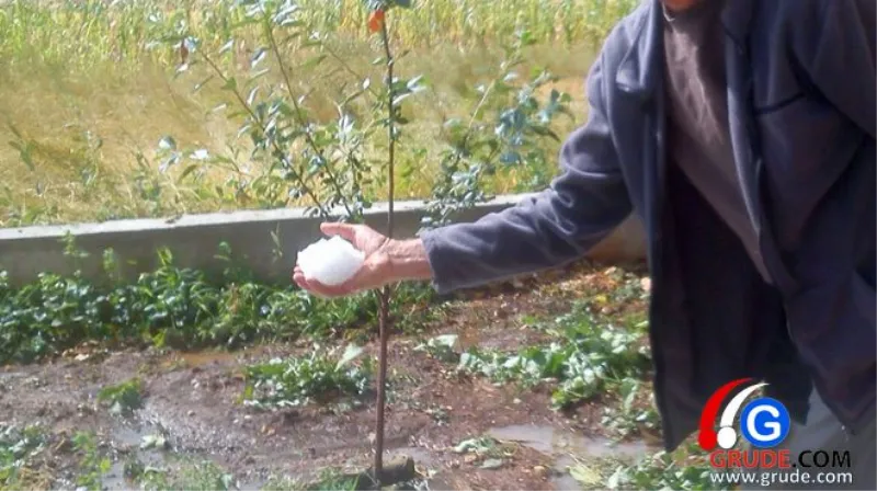Hrvatski meteorolozi o ljetu i ljetima koja dolaze: Klimatske promjene su ovdje
