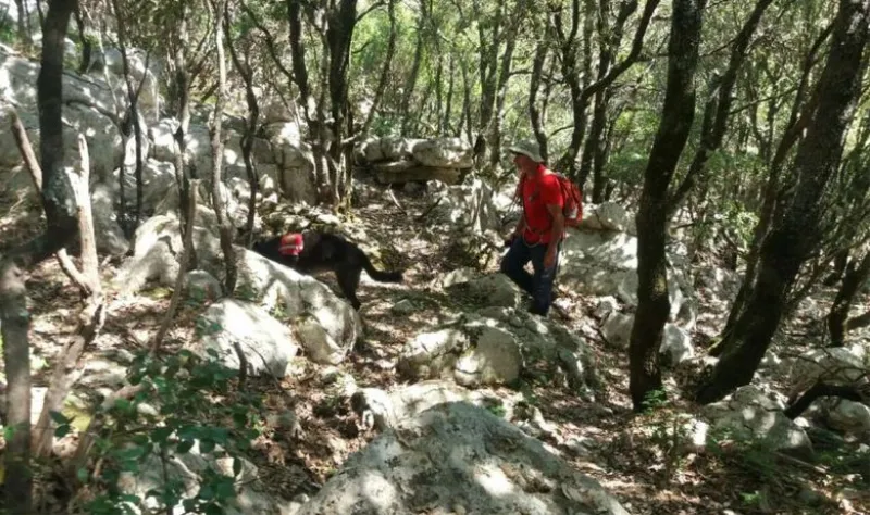 U FBiH lani prijavljen nestanak 277 osoba, još uvijek se traga za njih 57