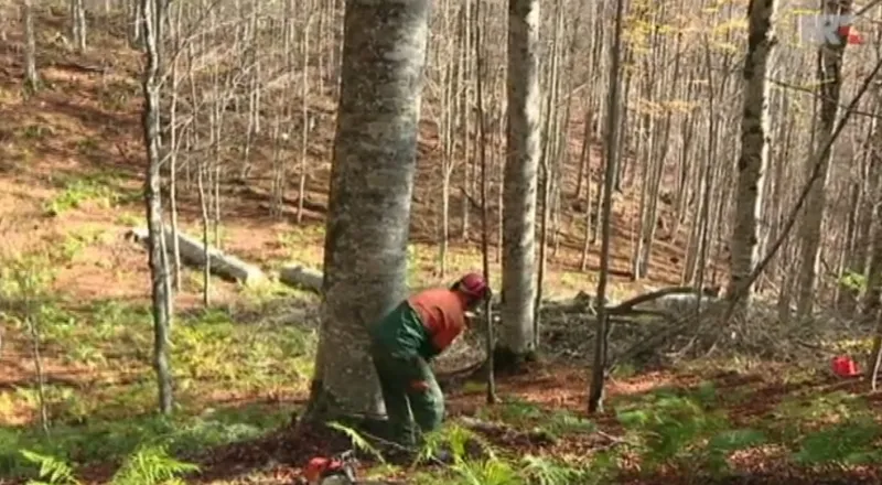 Peletu i ogrjevnom drvetu nerealno visoko podignute cijene