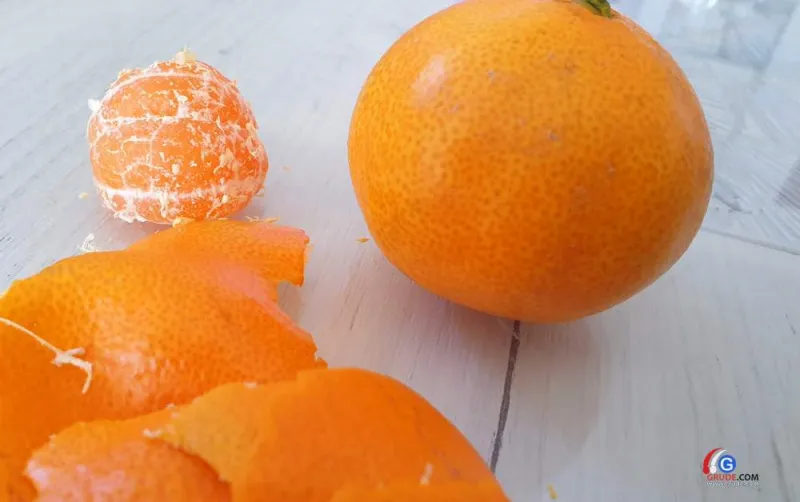 Berba mandarina u dolini Neretve, cijena otkupa 0,55 EUR, dnevnica 55