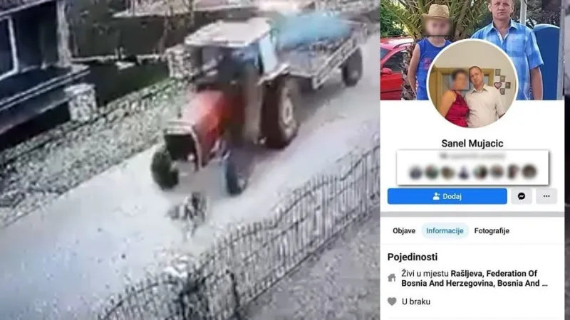 Sjećate se psa kojeg je gazio monstrum iz Gračanice! Evo dobrih vijesti