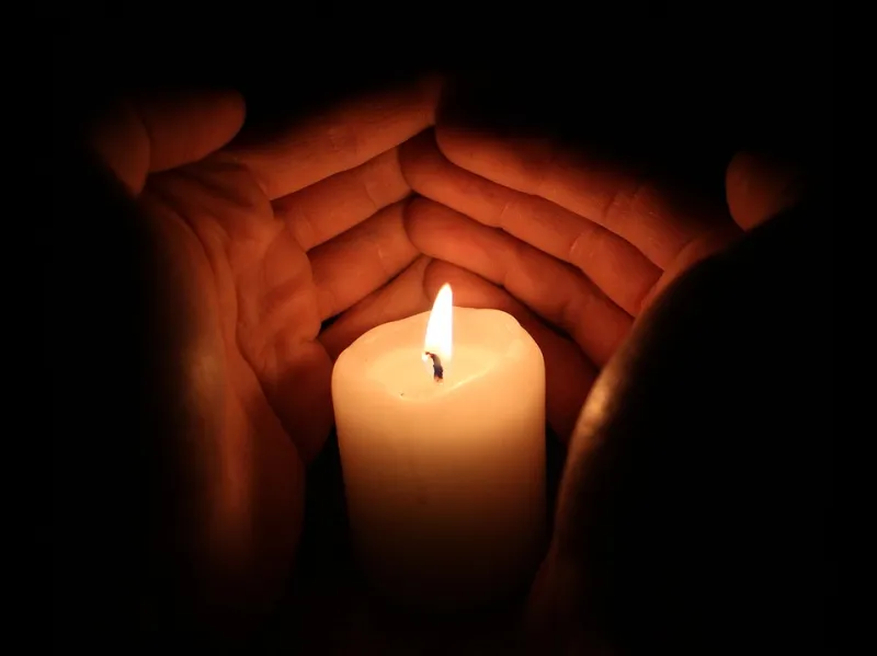Tragedija: Stablo palo na dijete i usmrtilo ga
