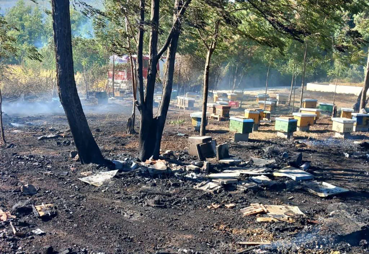 Velika šteta kod Ljubuškog: Vatra pčelaru po drugi put uništila pčelinjak