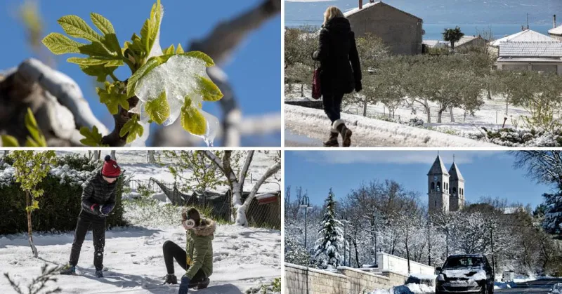 ‘Ovo ne pamti ni moja mater od 80 godina. Cilu noć sam ložija u vrtu, a sve je propalo‘