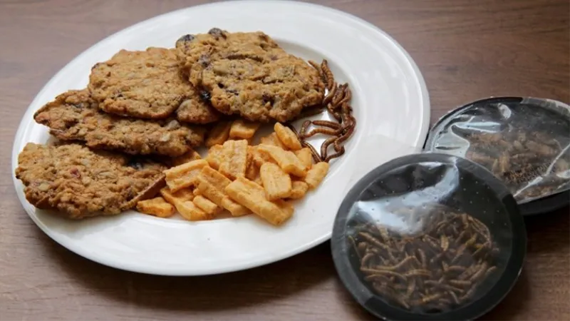 I ovo se događa: Kukac prvi put u EU odobren za jelo