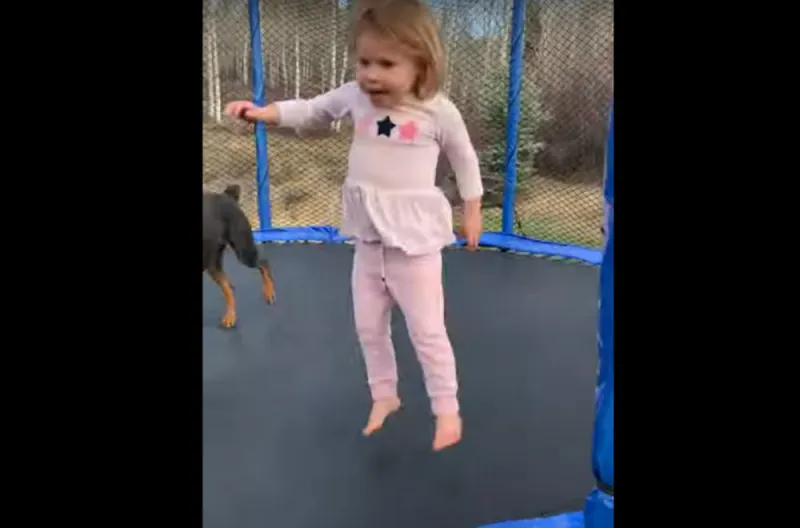 VIRALNI VIDEO - Djevojčica i pas uživaju na trampolinu
