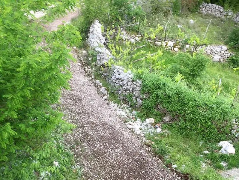 GRUDE: Spojeni Arambašići i Milići na Drinovačkom brdu