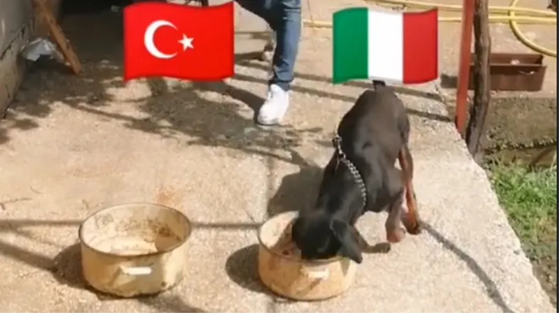 Može li Riki nadmašiti slavnu, grudsku Astru? Danas je 'tipovao' na Italiju