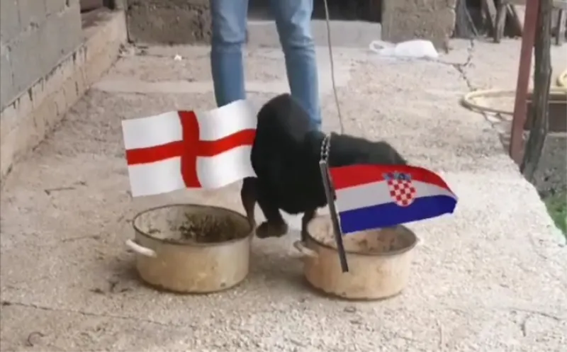 Može li i danas pogoditi? Riki prognozirao pobjedu Hrvatske