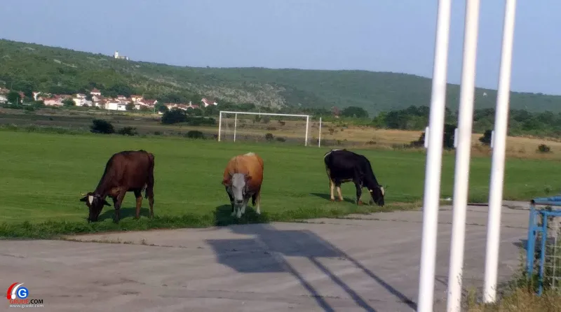 Elić Luka stadion, čija mati, čiji dom?