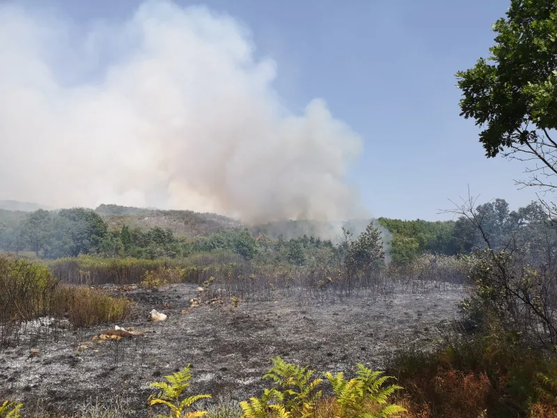 FOTO: Grudski vatrogasci na terenu, obuzdavaju vatrenu stihiju između Raška Polja i Graca 1