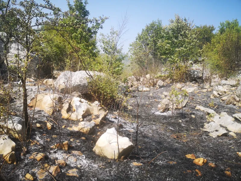 Nakon četiri dana borbe, požari u Dalmaciji stavljeni pod kontrolu