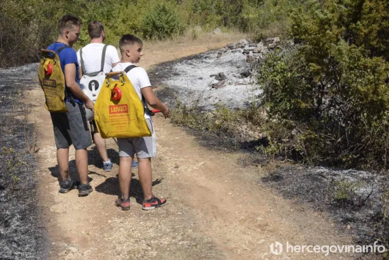 FOTO: Kamen bi proplakao! Kod Čitluka izgorjeli vinogradi, voćke, izgorjele pčele u košnicama