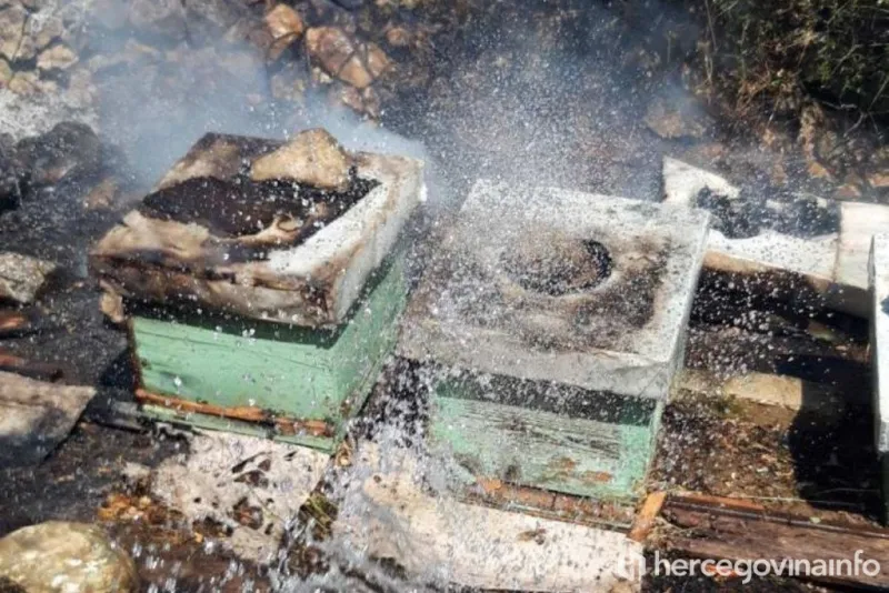 FOTO: Kamen bi proplakao! Kod Čitluka izgorjeli vinogradi, voćke, izgorjele pčele u košnicama 6
