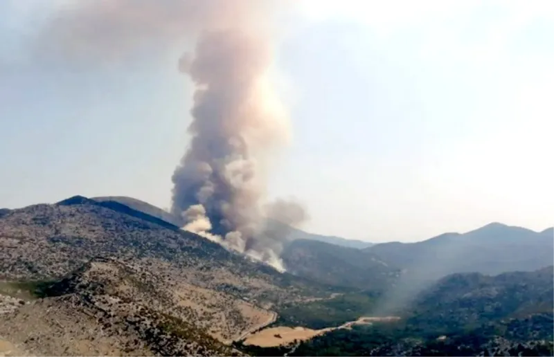 POŽAR SE ŠIRI: Uz šest aviona s buktinjom se bore i sve dostupne snage iz Makarske