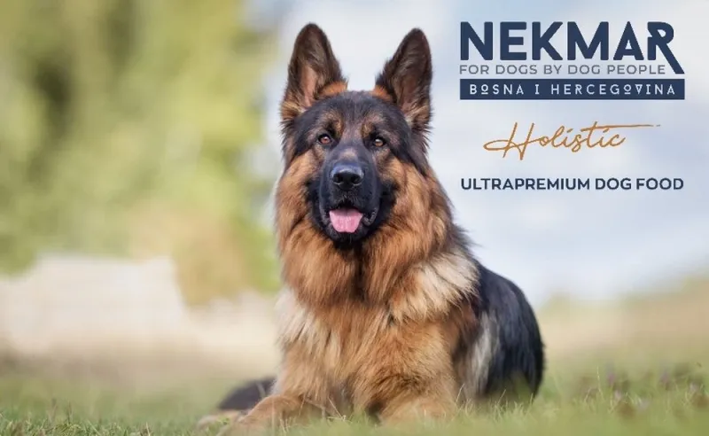 Nekmar nagrađuje: -10% popusta za prvih 50 kupaca