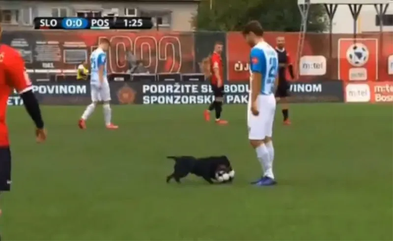Dognaldu ni Sloboda ni Posušje nisu ponudili ugovor
