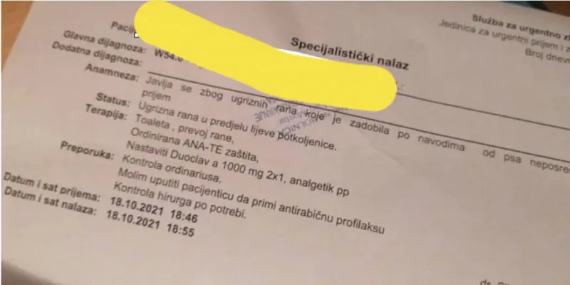 UŽAS: Čopor pasa lutalica napao studenticu u Mostaru 1