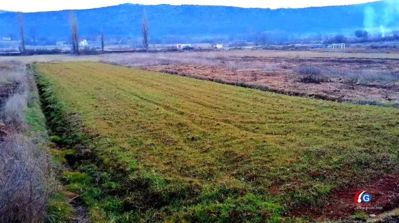 Poljoprivrednici: Cijene brašna i kruha još će rasti, sjetva je upitna, moguć nedostatak proizvoda