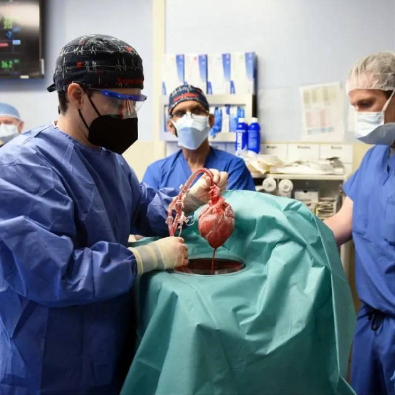 Dva mjeseca poslije, preminuo prvi čovjek kojem je transplantirano srce svinje