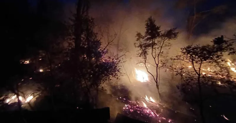 Požar kod Metkovića, gori 20 hektara