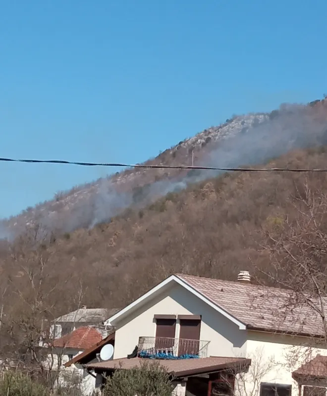 Ponovno aktivan požar u Vrućicama i Pocrtama 1