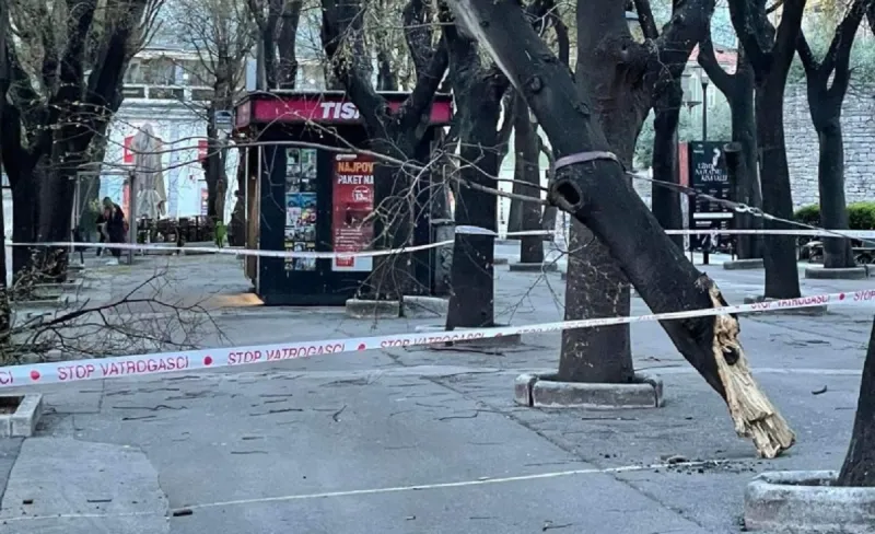 Olujno nevrijeme čupalo krovove i stabla