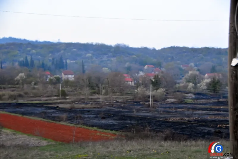 (FOTO/VIDEO) Grude: požar opustošio šume, i lovci u akciji spašavanja kuća 1