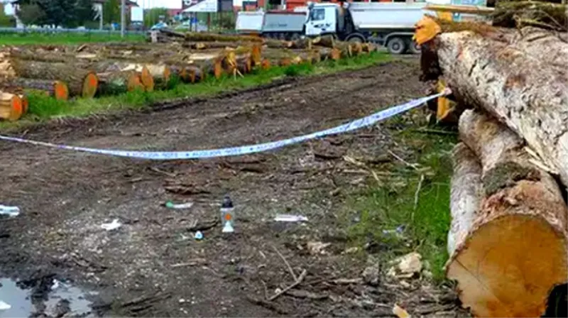 Susjedi tuguju za curicom (9) koju su poklopili trupci: 'Svi smo je voljeli, puklo nam je srce'