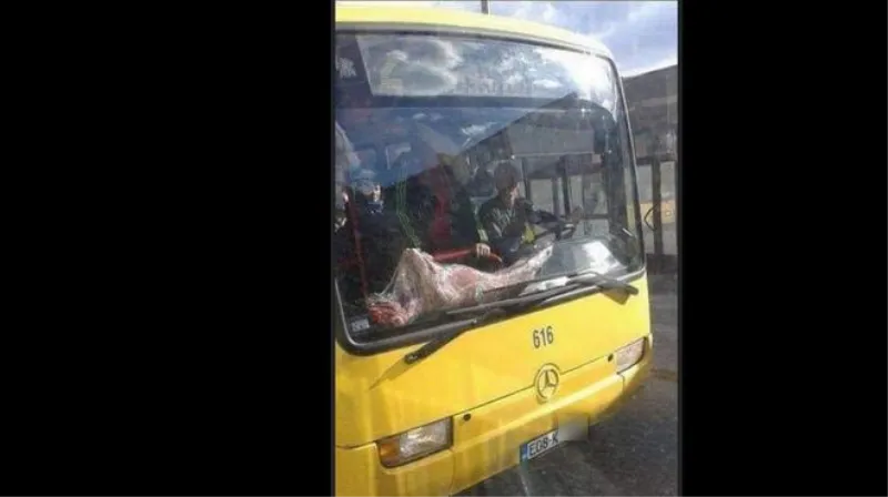 Samo u BiH: Janje je do ražnja prešlo nekoliko stanica...