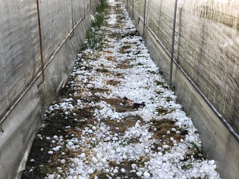 Fotografije užasa kakav se ne pamti: 'Jezivo, razbijeni su auti, kuće' 6