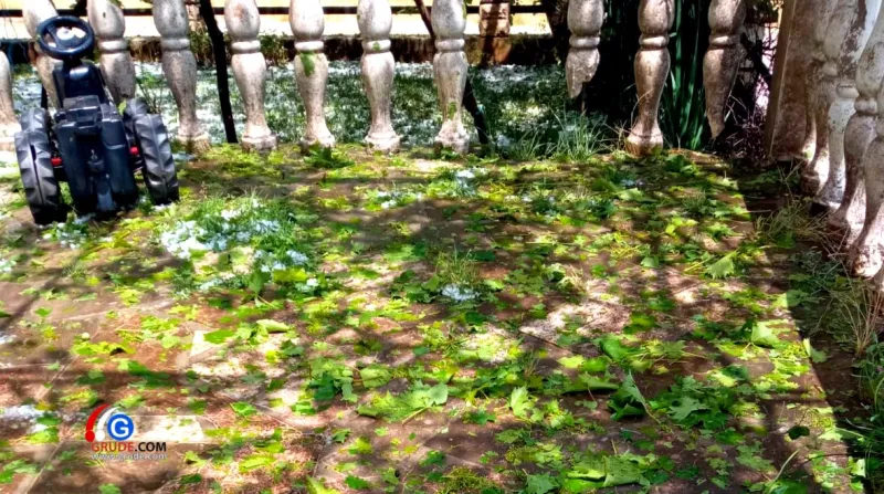 U Sovićima krupa stukla što nije uspjela lani, u Gracu 'oplila lozu' i uništila svu ljetinu 1