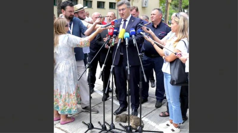 Je li ovo fotografija dana?