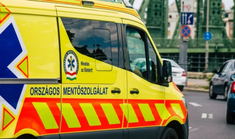 Hrvatica rodila u vinogradu u Mađarskoj pa pobjegla, dijete ubrzo preminulo