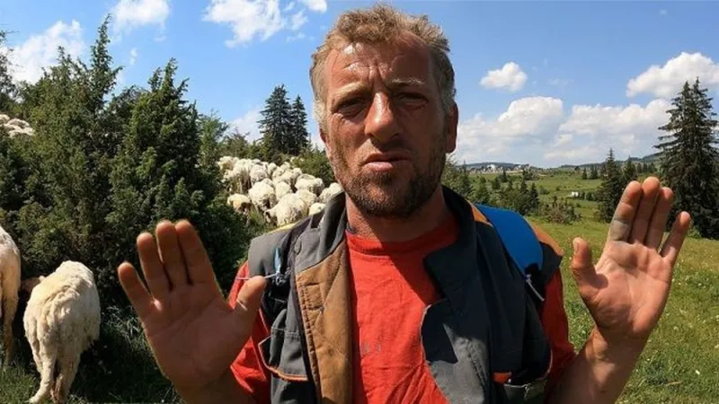 Budo više voli ovce nego žene VIDEO
