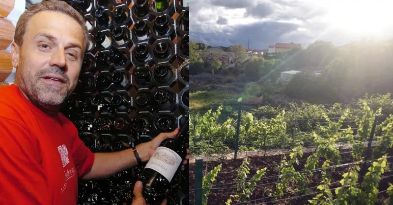 Što im radiš Milane Bandiću!? VINO IZ GRUDA BRONČANO U LONDONU! A najveći misterij je što nitko ne zna odakle Bandićevih vina na natjecanju