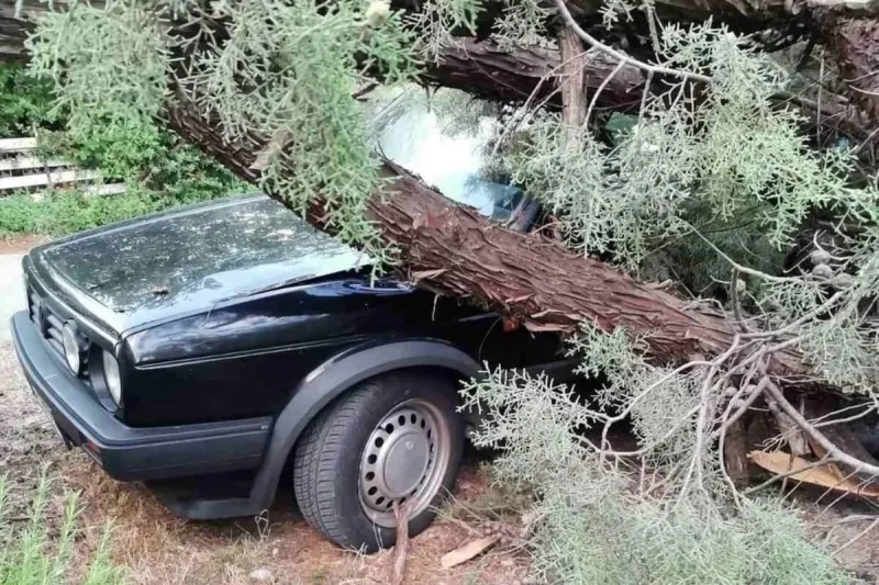 Fotografije kaosa u Mostaru: Vjetar rušio stabla, oštećeni automobili 1