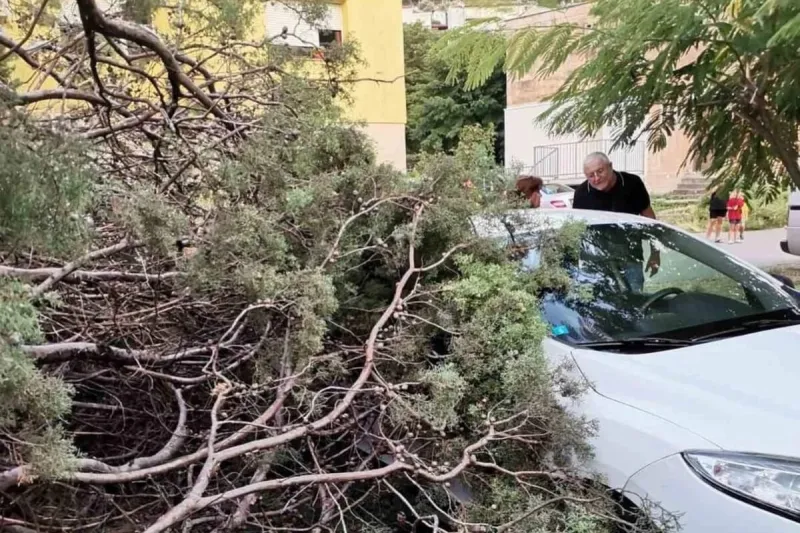 Fotografije kaosa u Mostaru: Vjetar rušio stabla, oštećeni automobili
